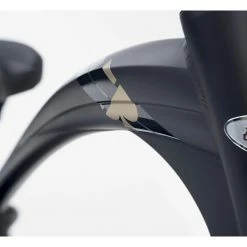 Cube VÉLO DE VILLE ELECTRIQUE ELECTRA ACE OF SPADES GO! -Magura Soldes 18995195fed9a282e5327.65993606