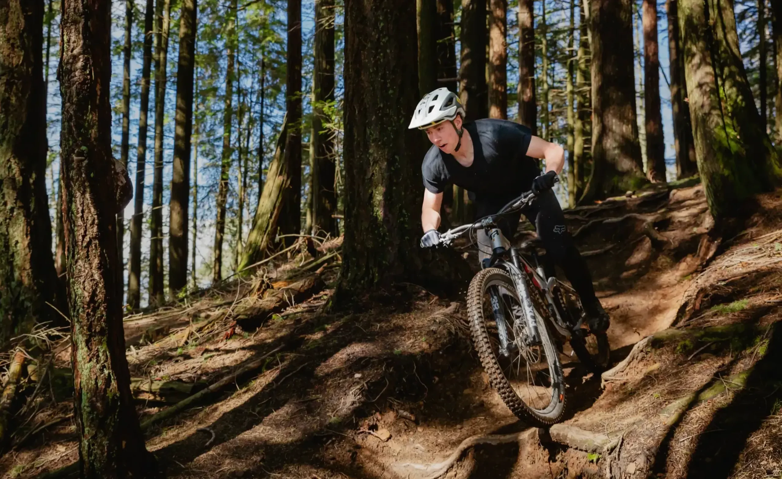 Magura Soldes -Magura Soldes 下载 scaled